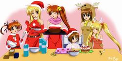fate testarossa from christmas