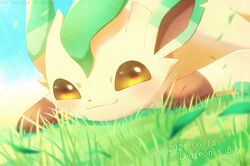 leafeon from pokemon