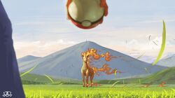 rapidash from pokemon