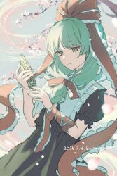 kagiyama hina from touhou