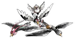 pidove from pokemon