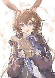 amiya (arknights) from arknights
