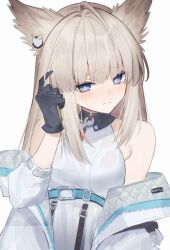 perlica (arknights) from arknights