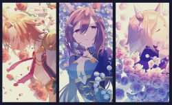 admire vega (umamusume) from umamusume