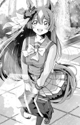 satono diamond (umamusume) from umamusume