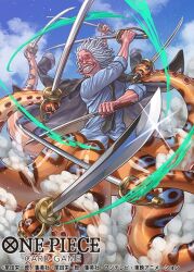 one piece fan art