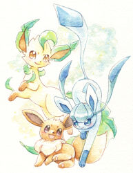 eevee from pokemon