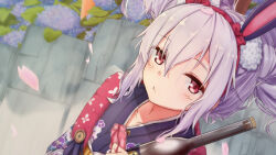 laffey (azur lane) from azur lane