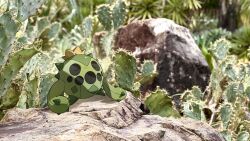 cacnea from pokemon by wulie errr