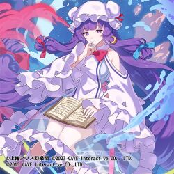 patchouli knowledge from gothic wa mahou otome