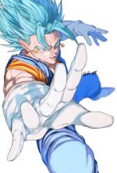 vegetto from dragon ball
