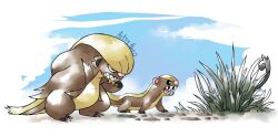 alolan rattata from pokemon