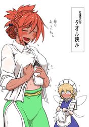 fairy maid from touhou by koyubi (littlefinger1988)