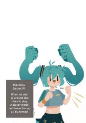 hatsune miku from vocaloid by projecttiger