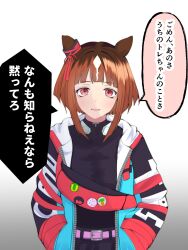 transcend (umamusume) from umamusume