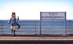 transcend (umamusume) from umamusume