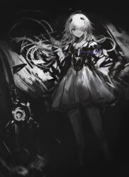 no.21 (punishing: gray raven) from punishing: gray raven by tuda6