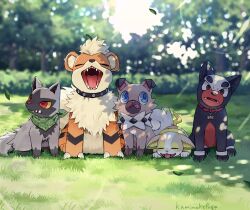 growlithe from pokemon