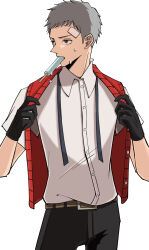 sanada akihiko from persona