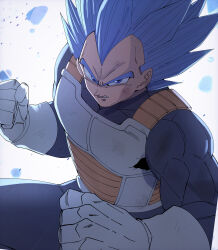 vegeta from dragon ball