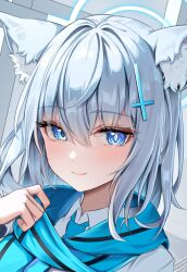 shiroko (blue archive) from blue archive