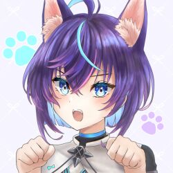 shironeko project fan art