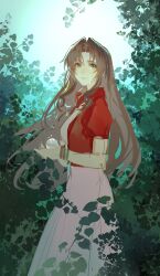 aerith gainsborough from final fantasy