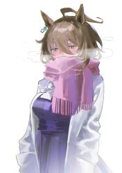 agnes tachyon (umamusume) from umamusume