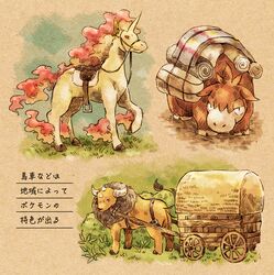 camerupt from pokemon by matsuri (matsuike)