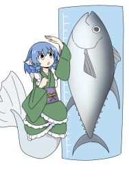 wakasagihime from touhou