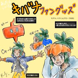 hau (pokemon) from pokemon