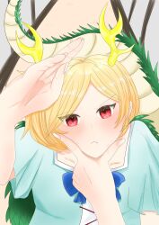 kicchou yachie from touhou