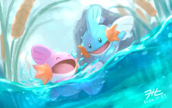 mudkip from odaibako by null suke