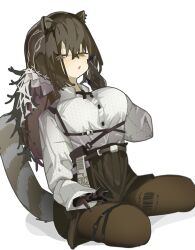 robin (arknights) from arknights