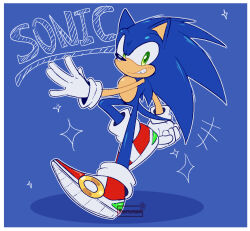 sonic the hedgehog from sonic (series)