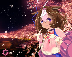 meisho doto (umamusume) from umamusume
