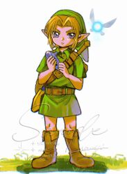 link from the legend of zelda by mouyi
