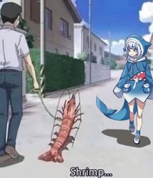 gawr gura from hololive
