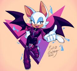 rouge the bat from sonic (series)