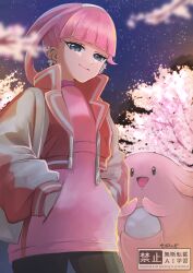 chansey from pokemon