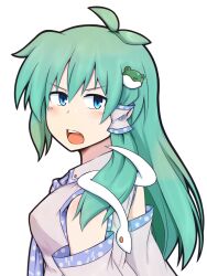 kochiya sanae from touhou by doraneko (yuxtukurisiteixtutenee)