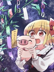 rumia from touhou by rokugou daisuke