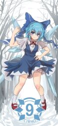 cirno from touhou