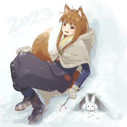 holo from spice and wolf