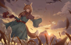 holo from spice and wolf