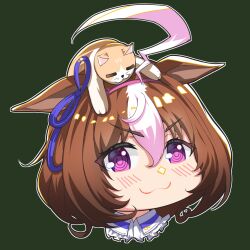 meisho doto (umamusume) from umamusume