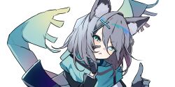 shiroko (blue archive) from blue archive