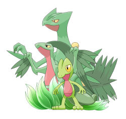 grovyle from pokemon