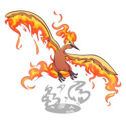 moltres from pokemon