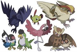 chatot from pokemon